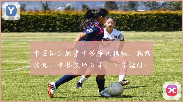 中国铀业股票中签率大揭秘，抢购攻略，中签技巧分享，不容错过，三大要点必看